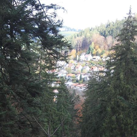 Relaxapartments Black Forest Diamond Direkt An Der Hornberger Freilichtbuehne - Sonnenterrasse Mit Blick Auf Das Hornberger Schloss, Schnelles Internet, Fuer Bis Zu 2 Personen Extérieur photo