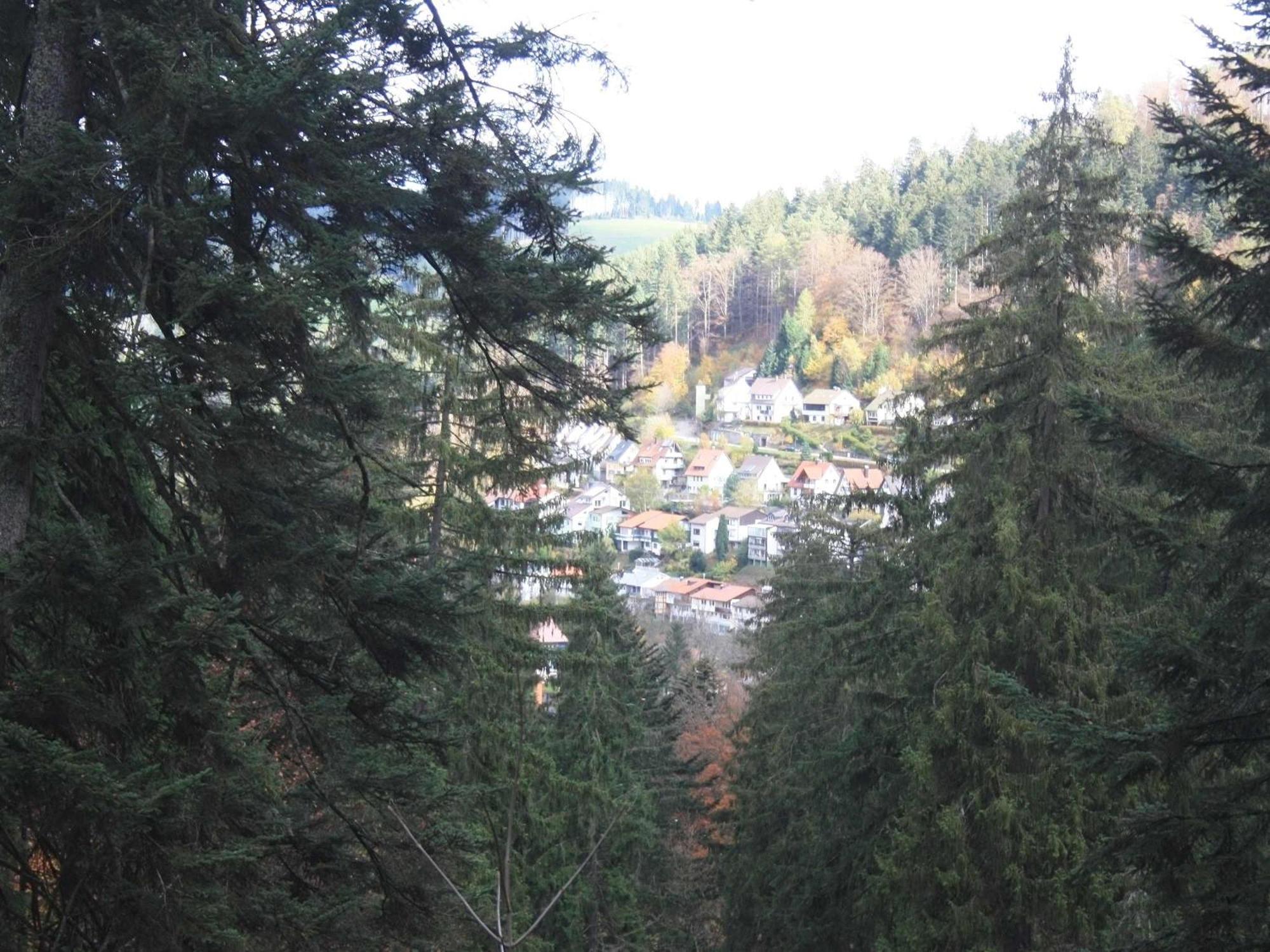 Relaxapartments Black Forest Diamond Direkt An Der Hornberger Freilichtbuehne - Sonnenterrasse Mit Blick Auf Das Hornberger Schloss, Schnelles Internet, Fuer Bis Zu 2 Personen Extérieur photo