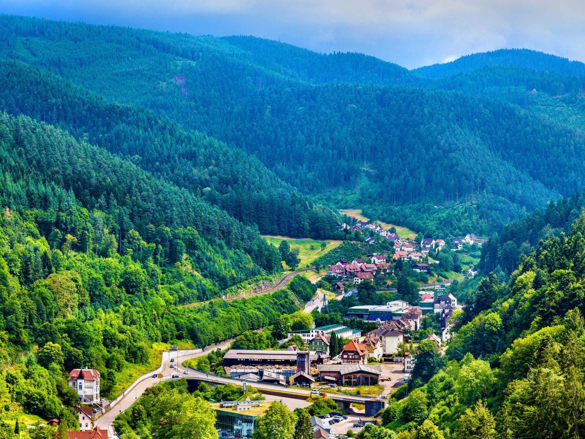 Relaxapartments Black Forest Diamond Direkt An Der Hornberger Freilichtbuehne - Sonnenterrasse Mit Blick Auf Das Hornberger Schloss, Schnelles Internet, Fuer Bis Zu 2 Personen Extérieur photo