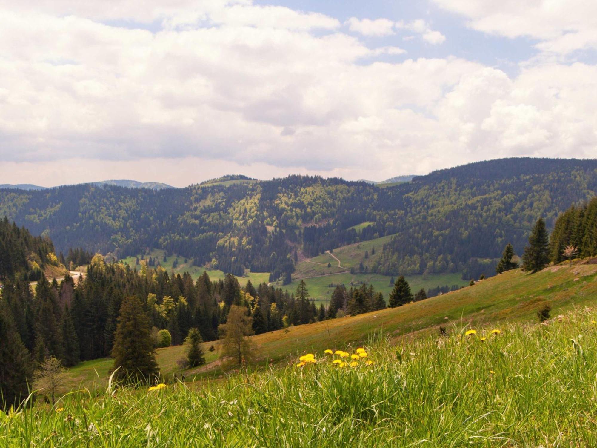 Relaxapartments Black Forest Diamond Direkt An Der Hornberger Freilichtbuehne - Sonnenterrasse Mit Blick Auf Das Hornberger Schloss, Schnelles Internet, Fuer Bis Zu 2 Personen Extérieur photo